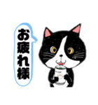 猫のさくらの日常にゃんです。（個別スタンプ：10）