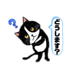 猫のさくらの日常にゃんです。（個別スタンプ：21）