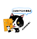 猫のさくらの日常にゃんです。（個別スタンプ：34）