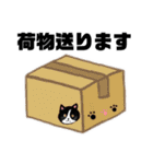 猫のさくらの日常にゃんです。（個別スタンプ：35）