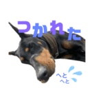 ocean ＆ との part2（個別スタンプ：4）