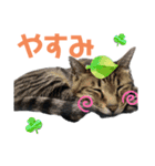 ocean ＆ との part2（個別スタンプ：6）