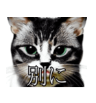 AI猫の可愛くてシュールな台詞スタンプ集05（個別スタンプ：7）