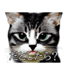 AI猫の可愛くてシュールな台詞スタンプ集05（個別スタンプ：14）