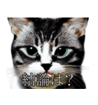 AI猫の可愛くてシュールな台詞スタンプ集05（個別スタンプ：16）