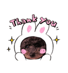 My dog Coco♥（個別スタンプ：2）