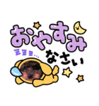 My dog Coco♥（個別スタンプ：8）