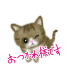 めっかわ猫のキジシロちゃんスタンプ（個別スタンプ：2）