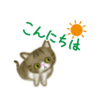 めっかわ猫のキジシロちゃんスタンプ（個別スタンプ：4）