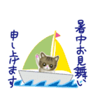 めっかわ猫のキジシロちゃんスタンプ（個別スタンプ：14）