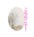 nanda birds 2（個別スタンプ：20）