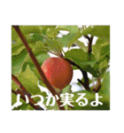 nanda birds 2（個別スタンプ：22）