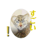 nanda birds 2（個別スタンプ：28）