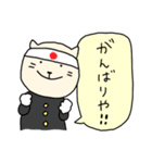 ばりばり関西弁ねこ（個別スタンプ：24）