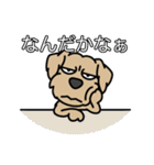 元保護犬 今家庭犬 8（個別スタンプ：14）