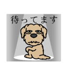 元保護犬 今家庭犬 8（個別スタンプ：17）