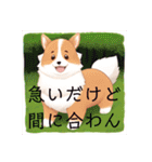 いろんな犬かわいいスタンプ（個別スタンプ：15）