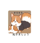 いろんな犬かわいいスタンプ（個別スタンプ：25）