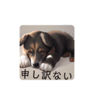 いろんな犬かわいいスタンプ（個別スタンプ：38）