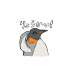 にっこりペンギンといっしょ！（個別スタンプ：10）