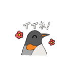 にっこりペンギンといっしょ！（個別スタンプ：11）