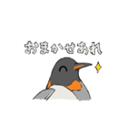 にっこりペンギンといっしょ！（個別スタンプ：17）