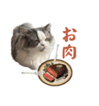 ツナと幸せな日々2（個別スタンプ：4）