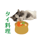 ツナと幸せな日々2（個別スタンプ：7）
