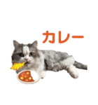 ツナと幸せな日々2（個別スタンプ：8）