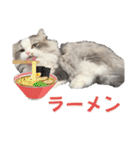 ツナと幸せな日々2（個別スタンプ：10）