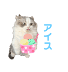ツナと幸せな日々2（個別スタンプ：11）