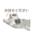 ツナと幸せな日々2（個別スタンプ：15）