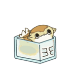 オナカドリのコナカちゃん（個別スタンプ：24）