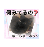 黒猫 ルナ院長16にゃんめ（個別スタンプ：8）