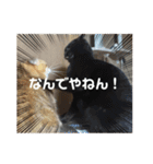 ねこすたんぷ！4だん！（個別スタンプ：21）