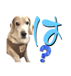 名犬ジュリーちゃん（個別スタンプ：10）