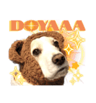 名犬ジュリーちゃん（個別スタンプ：12）