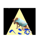 名犬ジュリーちゃん（個別スタンプ：14）