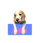 名犬ジュリーちゃん（個別スタンプ：18）