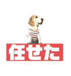 名犬ジュリーちゃん（個別スタンプ：21）