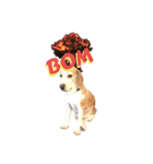 名犬ジュリーちゃん（個別スタンプ：32）