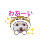 モカちゃん日記その8（個別スタンプ：7）