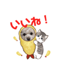 モカちゃん日記その8（個別スタンプ：9）