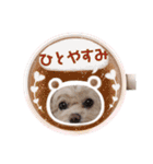 モカちゃん日記その8（個別スタンプ：15）
