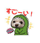 モカちゃん日記その8（個別スタンプ：17）