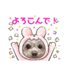 モカちゃん日記その8（個別スタンプ：20）