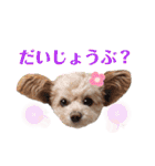 モカちゃん日記その8（個別スタンプ：31）