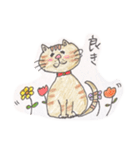 使えるDailyねこち。（個別スタンプ：6）