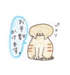 使えるDailyねこち。（個別スタンプ：11）