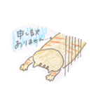 使えるDailyねこち。（個別スタンプ：37）